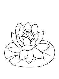 We did not find results for: Water Lily Blossom Coloring Page 1001coloring Com