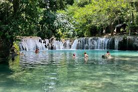 Berichte: Tauchsafari auf den Philippinen