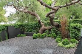 Www Greenwayshella Gr Residency In Psychiko Athens Greece Landscape Architect Karolos Chanikian Landscape Design Landscape Architect Modern Garden