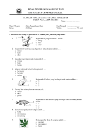 We did not find results for: Soal Ipa Kelas 2