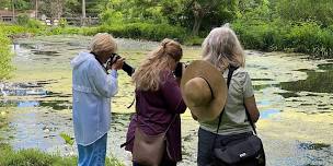 Photo Walk (6/20)