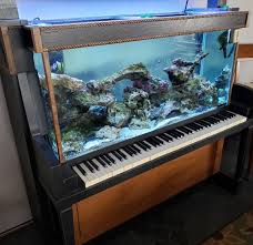 Wow Check Out This Piano Build Saltwater Tank This Is Cool Photo Heather R Https Www Reef2reef Com Threads Our Aquarium Design Saltwater Tank Fish Tank