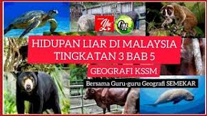 Start studying 5.1 hidupan liar di malaysia. 27 12 Mb Download Bab 5 Hidupan Liar Di Malaysia For Free Neuroanatomylab Mp3