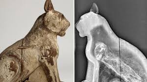 In ancient egypt, the oldest sibling made mummies, this tradition is the ancient egyptians were scientists and mathematicians. Scientists Reveal Inside Story Of Ancient Egyptian Animal Mummies History