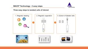 How many ways are there to arrange, say, 4 balls into not the answer you're looking for? Cell Separation Strategies Using Macs Technology Usa