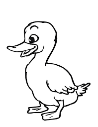 These free, printable halloween coloring pages for kids—plus some online coloring resources—are great for the home and classroom. Duck Coloring Pages Best Coloring Pages For Kids 685 886 Png Download Free Transparent Background