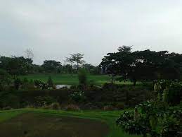 Check spelling or type a new query. Pemandangan Dari Restoran Picture Of Taman Dayu Golf Club Resort Pasuruan Tripadvisor