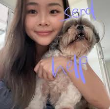 pipi und kaki in pipikakaland ◉‿◉ #shihtzu #shihtzusofinstagram #shihtzugram