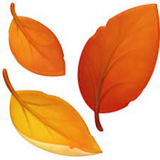 Anda masih bingung apa sih arti emoticon atau emoji yang teman kamu kirim. Arti Emoji Daun Gugur Fallen Leaf Emojipedia