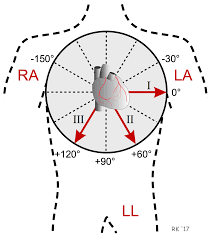 We did not find results for: Cv Physiology Electrocardiogram Standard Limb Leads Bipolar
