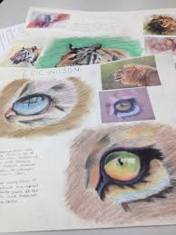 Yr 11 Research On Animal Project Sketch Book Art Projects Art
