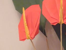 eagle 摺紙 火鶴花anthurium origami anthurium flowers