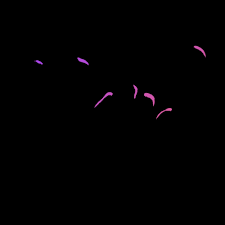 Make your own images with our meme generator or animated gif maker. Rad Gifs Primo Gif Latest Animated Gifs