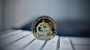 However, 2021 seems quite promising. Etoro Dogecoin Jetzt Handelbar Kurs Mit Delle Eine Chance Computer Bild
