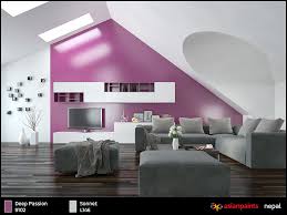 Wall Colors Nepal Trending Decor Cool House Designs House Painting