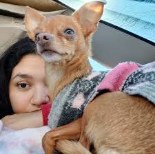 Some neat friends we met at Pueblo mountain park.