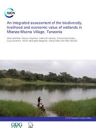 Image result for Schlechterina mitostemmatoides