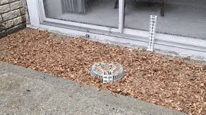 We did not find results for: Outdoor Drain Cover Exterior Basement Stairs Drain Outdoor Clogged