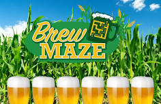 Brew Maze at Lyman Orchards Corn Maze