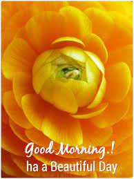 Maybe you would like to learn more about one of these? Pin On Good Morning