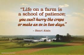 Life On A Farm Is A School Of Patience You Can T Hurry The Crops Or Make An Ox In Two Days Henri Alain Life Farm How To Make