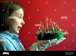 David crown hi-res stock photography and images