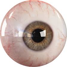 Bloodshot Eyes Png Eye Texture Map Transparent Cartoon Jing Fm Anime manga eyes png image that you can download for free. bloodshot eyes png eye texture map