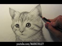 Drawing Time Lapse Kitten Cizim Cizimler Ve Hayvan Cizimi