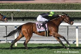 It's a big horse racing day in terms of the amount of racecourses available for wagering on saturday. Free Santa Anita Park Picks Laptrinhx News