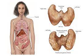 What Is Thyroid Cancer? | Types of Thyroid Cancer | American ...