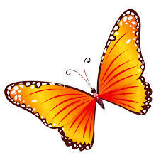 Black And White Cartoon Picture Of Orange Transparent Orange Butterfly Png Clipart Butterfly Clip Art Butterfly Images Cartoon Butterfly