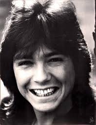 Preserve and Cherish David Cassidy's Music