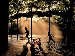Maybe you would like to learn more about one of these? 20 Shadow Photography Tips For Amazing Photos