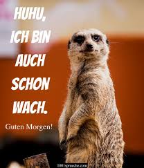 We did not find results for: 144 Guten Morgen Spruche Bilder Suss Herzlich Lustig 2021