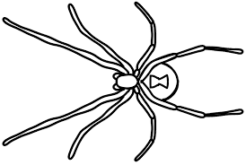 Redback spider coloring pages spider an coloring pages spider baby printable coloring pages spider book coloring pages Http Www Inallyoudo Net Wp Content Uploads 2015 10 Spiders Combo Coloring Pages Final Pdf
