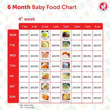 6 months food chart for indian babies baby food recipes