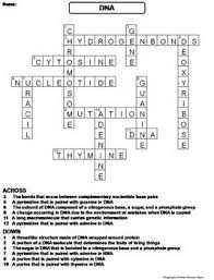 Maybe you would like to learn more about one of these? Dna Structure And Function Worksheet Crossword Puzzle By Science Spot
