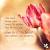 Words Of Comfort