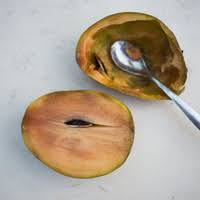 Image result for Manilkara