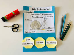 Dazu geben wir ihnen bewährte bewerbungsvorlagen ⇒ im microsoft word format openoffice vorlagen jederzeit wiederverwendbar jetzt kostenlos muster downloaden.kostenloser. Lapbook Unterrichtsmaterialien Seite 4 Lehrer24 De Materialsuchmaschine Fur Lehrerinnen Und Lehrer