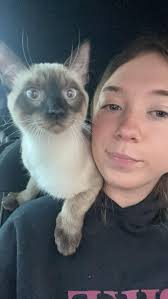 so archie got neutered