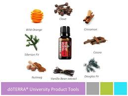 Dōterra University Doterra Homemade Reed Diffuser Holiday Joy Doterra