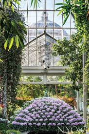 The New York Botanical Garden The Bronx New York Usa Botanicgarden Ubicado En El Bronx Par Botanical Garden New York Ny Botanical Garden Botanical Gardens