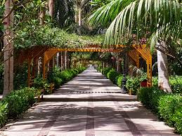 When we see them, we are transported to a garden wedding, tropical destination, or secret forest. 25 Most Beautiful Gardens In The World Top Gardens To Visit