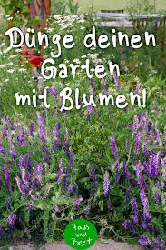 Pflanzen Dungen Mit Biologischen Hilfsmitteln Krautergarten Palette Pflanzen Und Gemusegarten Anlegen