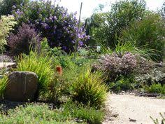 Native Garden Design Ideas Gardenscape Design Background 2272 1704 Within Garden Design Ideas Australian Garden Design Australian Native Garden Native Garden