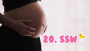 Ssw ist die letzte woche des 5. 20 Ssw 20 Schwangerschaftswoche Junoo De