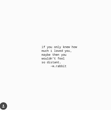 If You Only Knew How Much I Loved You Maybe Then You Wouldn T Feel So Distant Wrabbit Meme On Me Me