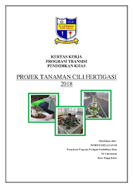 Dengan keluasan suku ekar, saya dapat tanam lebih dari 1,600 pokok cili. Doc Disediakan Oleh Faris Jaafar Academia Edu