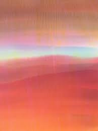 Sheri Levin McNerthney